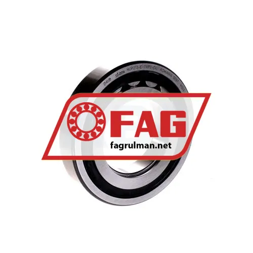 FAG NUP213-E-TVP2-C4