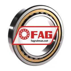 FAG NU1020-XL-M1-C3 rulman resim 2