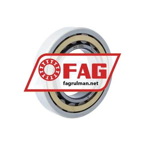 FAG NU213-E-XL-M1-F1-J20AA-C4