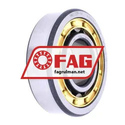 FAG NJ306E-M1A