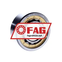 FAG NJ2309E-M1A-C3