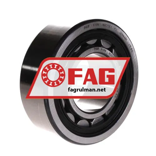 FAG NU2313-E-K-TVP2