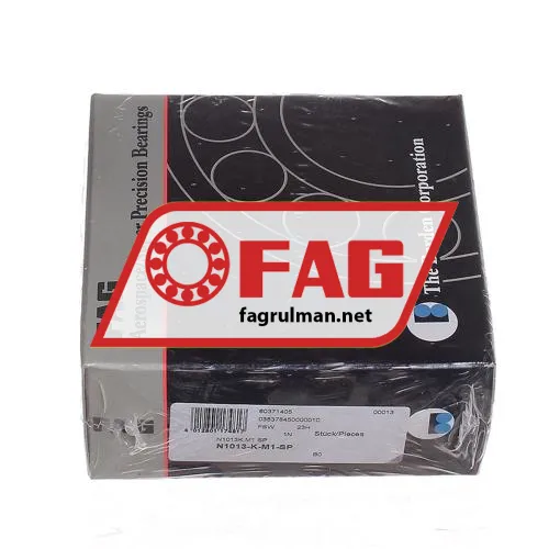 FAG N1013-K-M1-SP