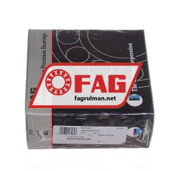 FAG N1013-K-M1-SP