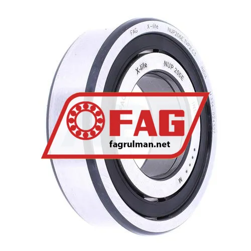 FAG NUP206E-TVP2-C3