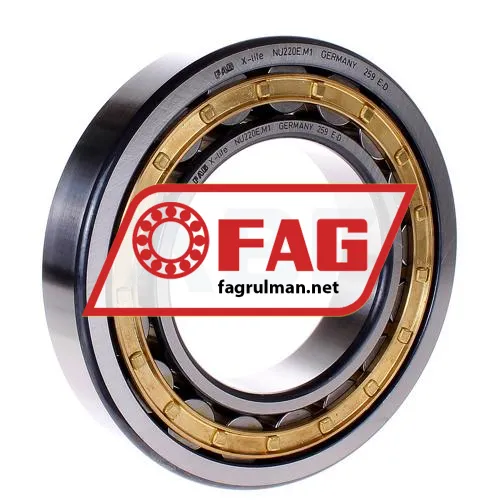 FAG NU220EM1