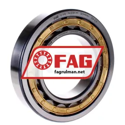 FAG NU220EM1