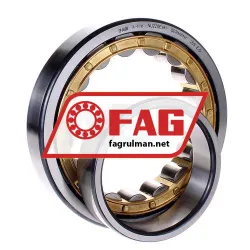 FAG NU220EM1 rulman resim 2