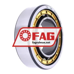 FAG NJ2209E-M1-C4