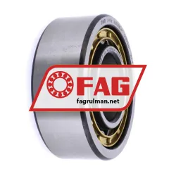 FAG NU2309-E-M1