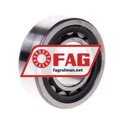 FAG NJ2206-E-TVP2
