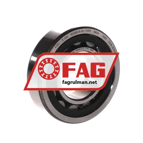 FAG NU206-E-TVP2