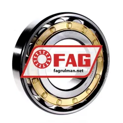 FAG N318E-M1