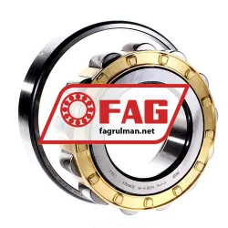 FAG N318E-M1 rulman resim 2