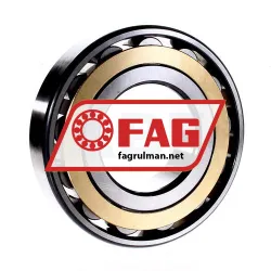 FAG N318E-M1 rulman resim 3