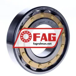FAG N316E-M1