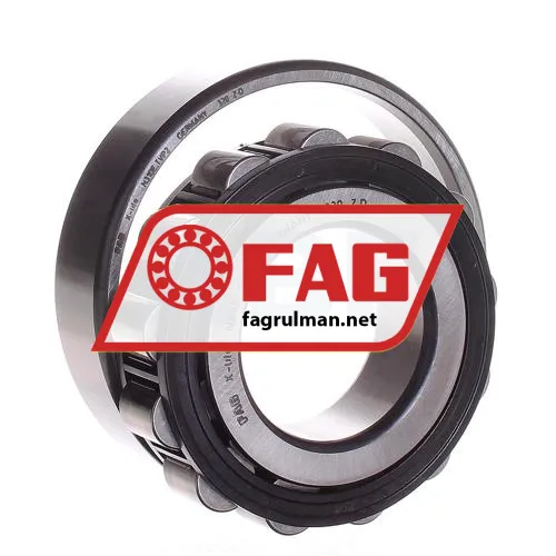 FAG N310E-TVP2 ürün fotoğrafı 3