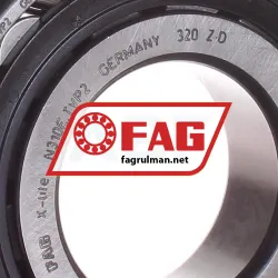 FAG N310E-TVP2 rulman resim 2