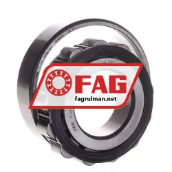 FAG N310E-TVP2 rulman resim 3