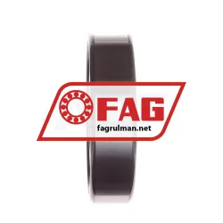 FAG N310E-TVP2 rulman resim 4