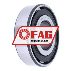 FAG N308E-TVP2-C3