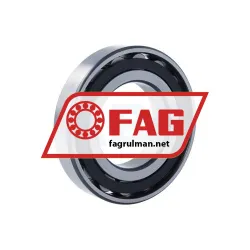 FAG N213E-TVP2-C3 rulman resim 2