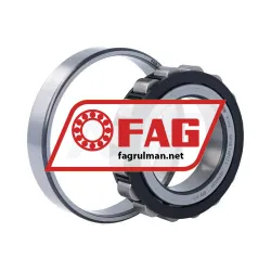 FAG N213E-TVP2-C3 rulman resim 3