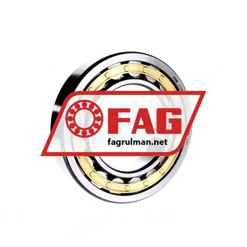 FAG NU220E-M1-C3