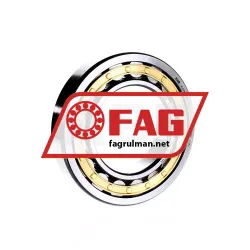 FAG NU220E-M1-C3