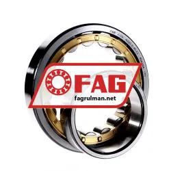 FAG NU220E-M1-C3 rulman resim 2