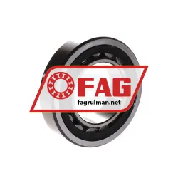 FAG NU209EK-TVP2-C3 rulman resim 2
