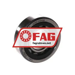 FAG NU203E-TVP2-C3