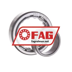 FAG NU1006