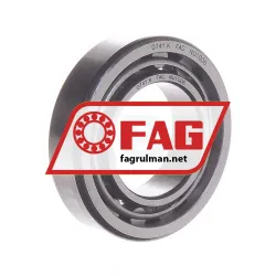 FAG NU1006 rulman resim 2