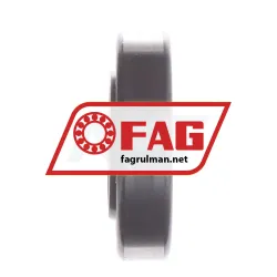 FAG NU1006 rulman resim 5