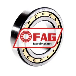 FAG NJ210E-M1