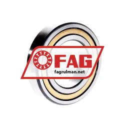 FAG NJ210E-M1 rulman resim 3