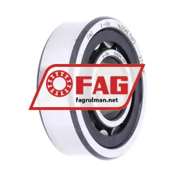 FAG NJ204E-TVP2