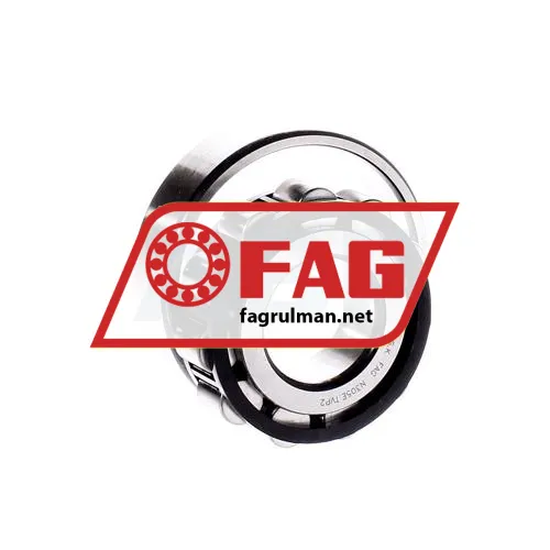 FAG N305E-TVP2 ürün fotoğrafı 2