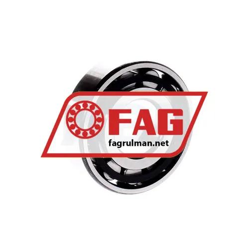 FAG N305E-TVP2 ürün fotoğrafı 3
