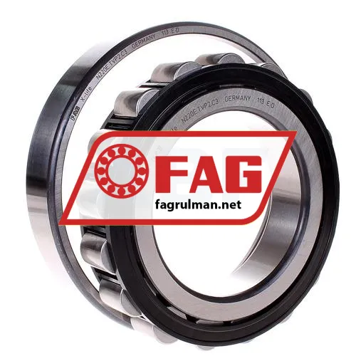 FAG N220E-TVP2-C3 ürün fotoğrafı 2