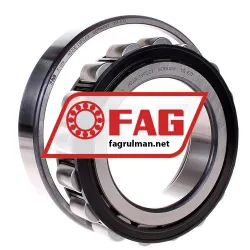 FAG N220E-TVP2-C3 rulman resim 2