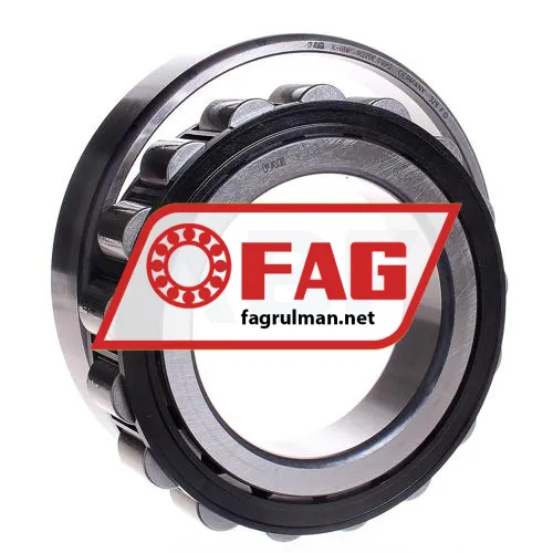 FAG N220E-TVP2 ürün fotoğrafı 3