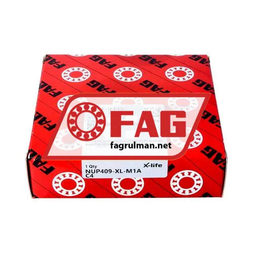 FAG NUP409-XL-M1A-C4 ürün fotoğrafı 3