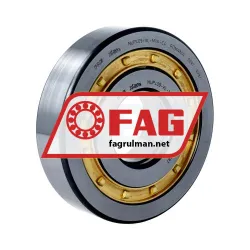 FAG NUP409-XL-M1A-C4