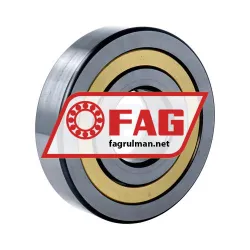 FAG NUP409-XL-M1A-C4 rulman resim 2