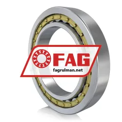 FAG NU19/600-E-M1A