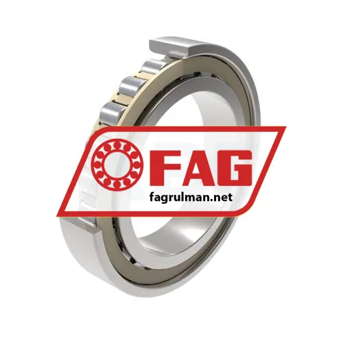 FAG N1010-C-K-TR-PVPA1-SP