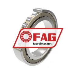 FAG N1010-C-K-TR-PVPA1-SP