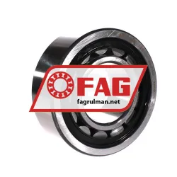 FAG NJ2315-E-TVP2-QP51-C4